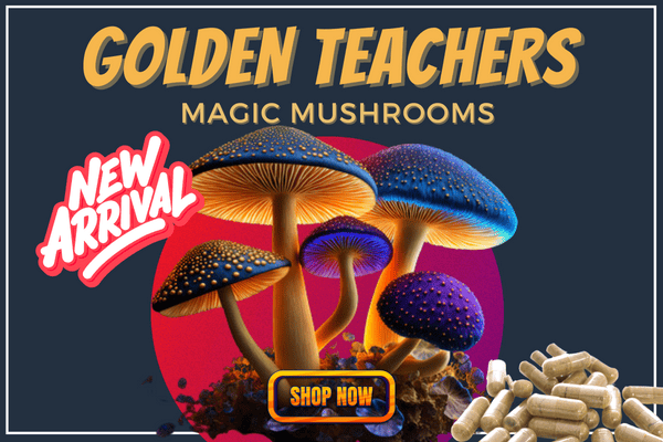 Golden Teacher Magic Mushroom Capsules