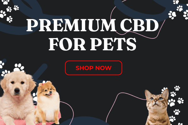 Premium CBD for Pets